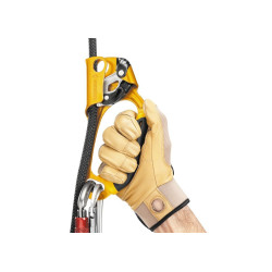 ASCENSION blokant PRAVÝ