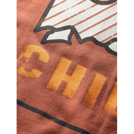 MOUNTAIN LOGO-BRICK-L pánské tričko cihlové