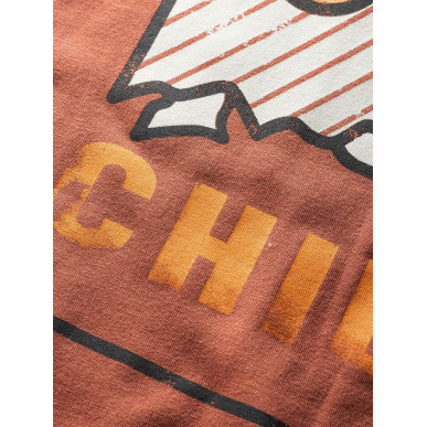 MOUNTAIN LOGO-BRICK-L pánské tričko cihlové